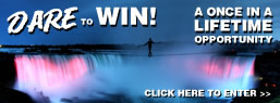 Dare to win!