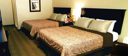 Traditional Two Queen Guestroom