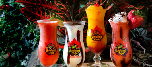 Great Food and Cocktails at Rainforest Cafe Niagara Falls