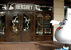 Niagara Falls Hershey Store