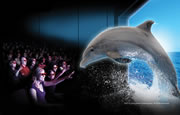 4D Movies