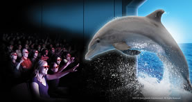 4D Movies