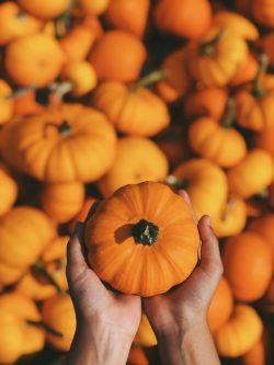 Niagara Halloween pumpkin