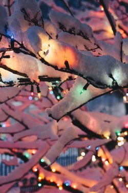 Winter in Niagara Falls